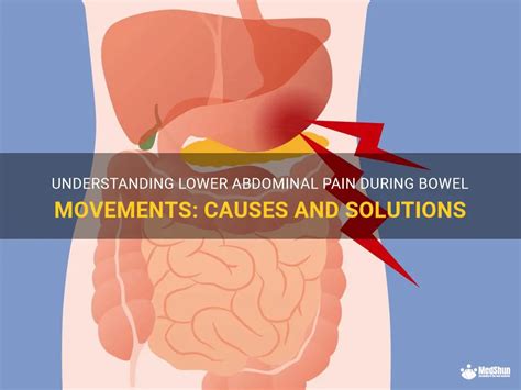 Understanding Lower Abdominal Pain During Bowel Movements Causes And