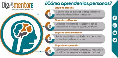 ¿cómo Aprenden Las Personas Conceptos Básicos Para Mejorar El Proceso