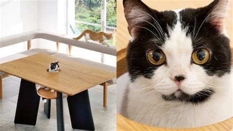 Incredible Cat Furniture Acknowledges Our Feline Overlords - Nerdist