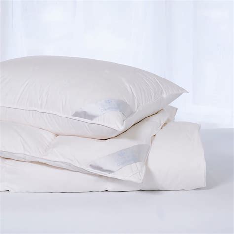 Scandia Home Copenhagen European White Down Comforter - Ultra-light ...