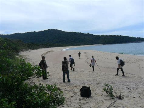 Caraguá Verde Trilha das Praias Desertas em Ubatuba AMAC Manacá