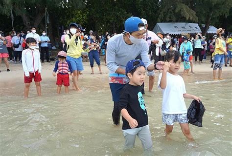 石垣島に夏が来た ひと足早い海開き 初泳ぎは「ちょっと寒い」 琉球新報デジタル