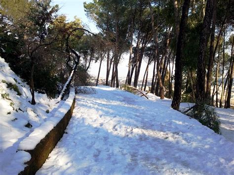 Riserva Naturale Di Monte Mario Galleria Fotografica Riserva Di Monte