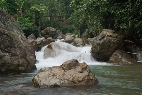 Rekomendasi Curug Curug Di Bogor Destinasi Wisata Yang Patut