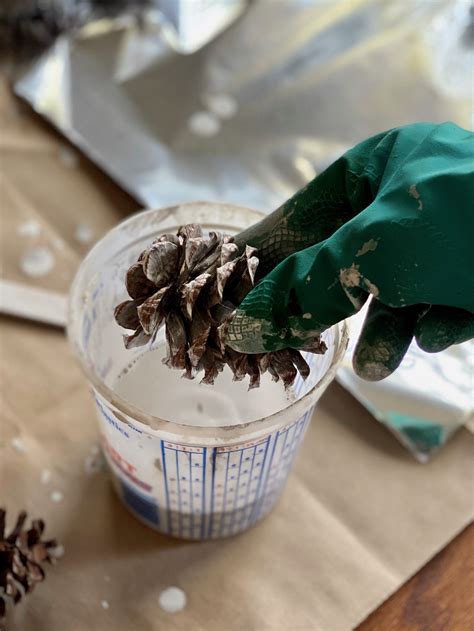 How To Make Bleached Pinecones Without Bleach Nature Way