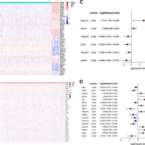 Constructing Prognostic Signature Of Ferroptosis Related Genes In The Download Scientific