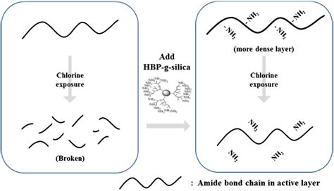 Membranes Free Full Text Important Approaches To Enhance Reverse