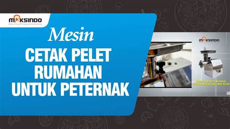 Mesin Cetak Pelet Rumahan Untuk Peternak Mks Plt Youtube