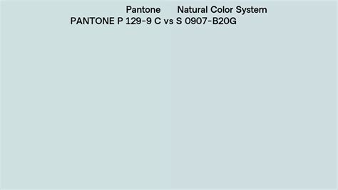 Pantone P C Vs Natural Color System S B G Side By Side