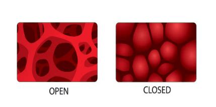 Open vs. Closed Cell Foam: Understanding Permeability