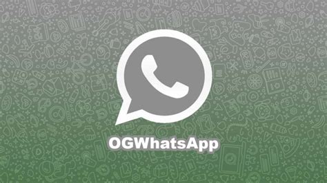 Por Qué Elegir Ogwhatsapp En Lugar De Whatsapp Plus