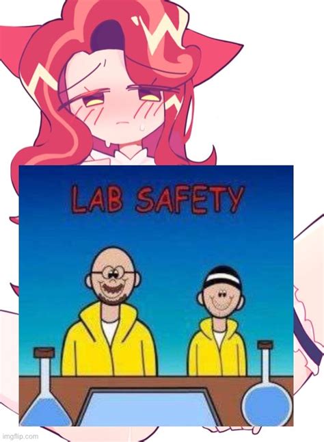 Lab Safety With Walter White Imgflip