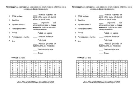 4º M Microorganismos Términos Pareados Ppt