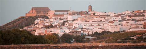 Excursiones, visitas guiadas y actividades en Montilla - Civitatis