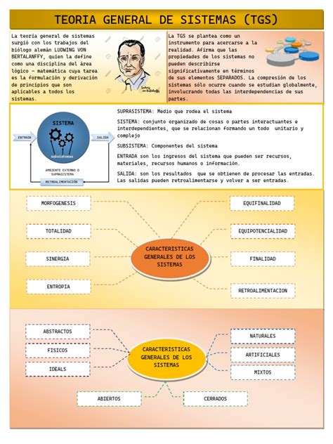 Infografia Teoria General De Sistemas Pdf