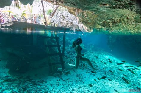 Tourists Swimming At Gran Cenote Tulum Mexico Royalty Free Image