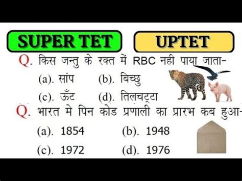 UPPET 2023 UPTET 2023 Super TET 2023 Important Questions Super