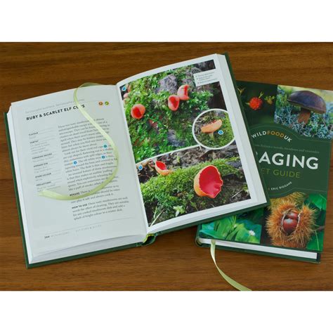 The Wild Food Uk Foraging Pocket Guide Hardback Edition Foraging