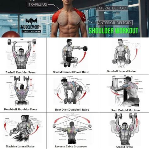 Step By Step Guide Of Shoulder Work Out Shoulder Workout Gym Workout