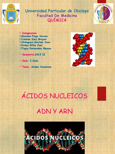 Pdf Acidos Nucleicos Quimica Dokumen Tips