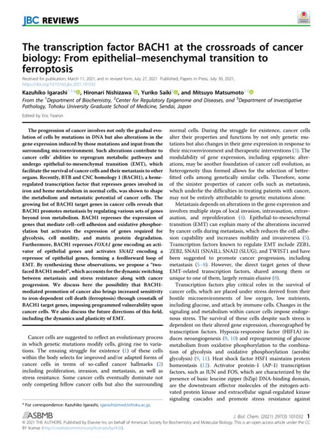 PDF The Transcription Factor BACH1 At The Crossroads Of Cancer