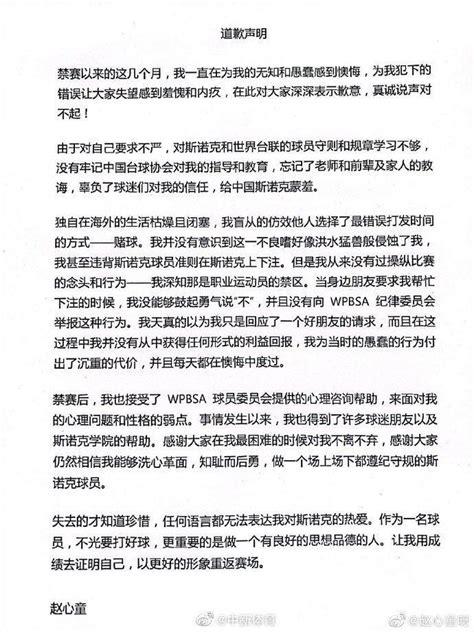 被禁赛1年8个月，赵心童道歉：辜负了球迷的信任，给中国斯诺克蒙羞赵心童中国斯诺克新浪新闻