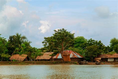 Visit Sundarbans Mangrove Forest -largest mangrove forests now