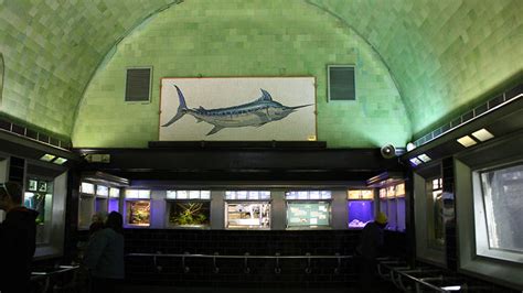 Belle Isle Aquarium | Attractions in Belle Isle, Detroit