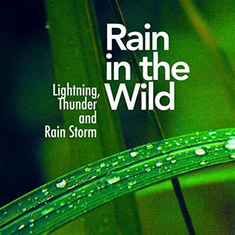 Amazon Music Lightning Thunder And Rain Storm Rain In The Wild