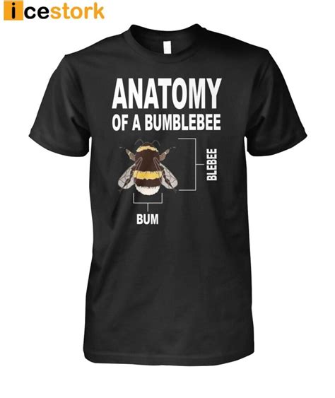 Anatomy Of A Bumblebee Shirt Icestork