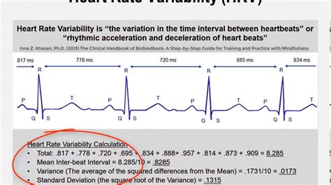 Heart Rate Variability Chart