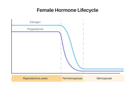 Gráfico De Estilo De Vida De Hormonas Femeninas Diagrama De Estrógeno Y Progesterona En El