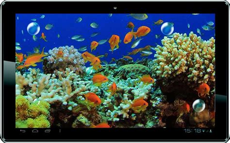 🔥 [43+] Live Fish Wallpapers Download | WallpaperSafari