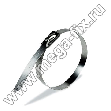 Хомут-стяжка металлическая коррозионностойкая 7,9х300 (100 шт./уп ...
