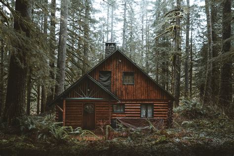 How to Make Your Outdoor Cabin More Weather Resistant