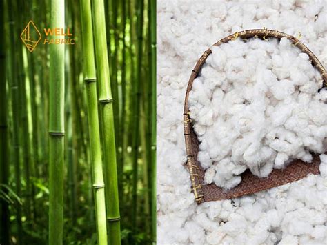 5 Advantages Of Bamboo Cotton Fabric In Sustainable Attire