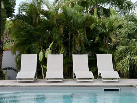 Row Of Poolside Lounge Chairs Stock Image - Image of tropical, deck: 57973027