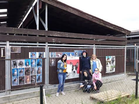 Pomoc Dla Schroniska Promyk Szko A Podstawowa Nr Im Zas U Onych