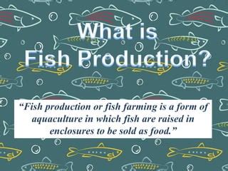 Fish Production.pptx