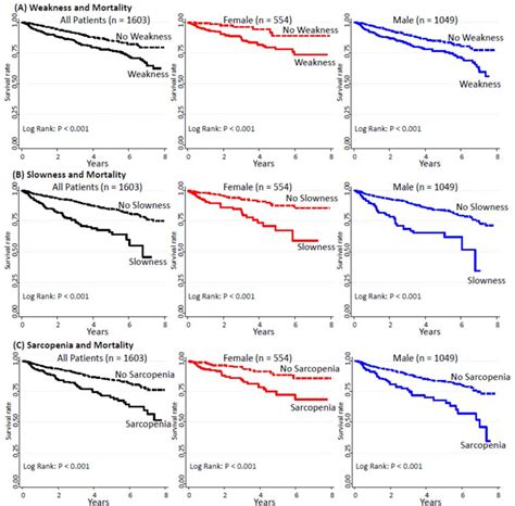 Sarcopenia Prevalence And Prognostic Implications In Elderly Patients