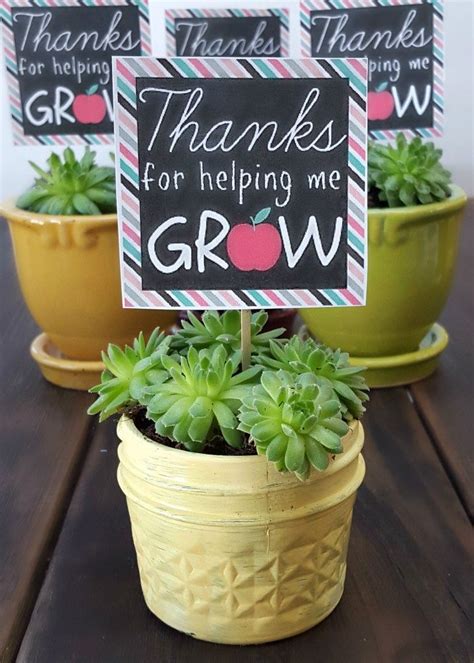 A Succulent Plant With A Printable Label “thanks For Helping Me Grow ” Teacher Appreciation Is