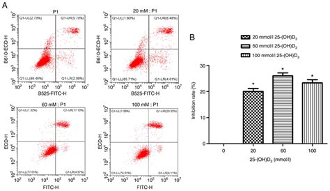 Effects Of Different Concentrations Of Oh D On The Apoptosis Of