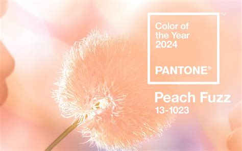 Pantone Color For 2024 Dody Nadine