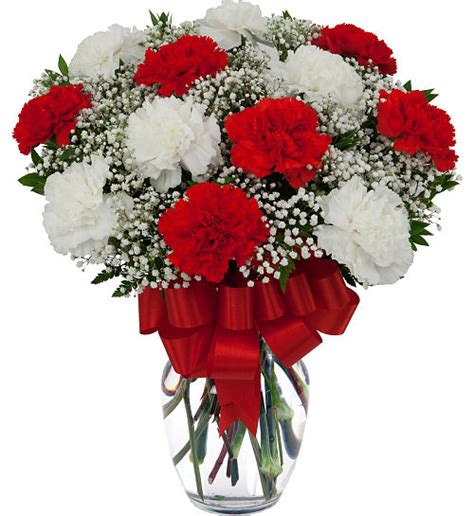 12 Red & White Carnations #CD12AA • Canada Flowers