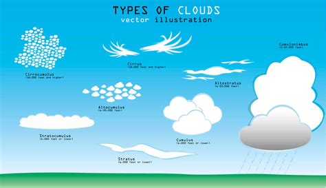 10 Types of Clouds in the Sky – Do You Know Them All? – PopOptiq