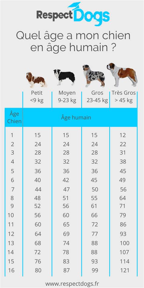 Option Marque Fin Comment Calculer L Ge D Un Chien En Humain La