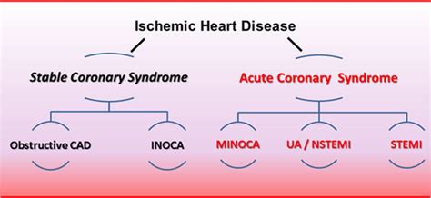 Stable Coronary Syndromes The Case For Consolidating The Nomenclature