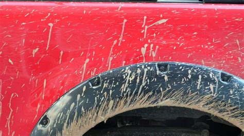 Extremely Dirty Car Parked Near The Bush Stock Footage Video Of