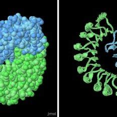 The combined structure of RNase A with Ribonuclease inhibitor. This... | Download Scientific Diagram