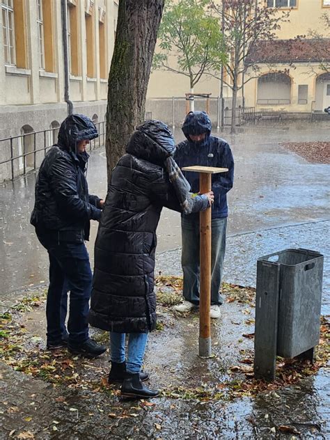 Insektenhotel Fanny Koenig Grundschule